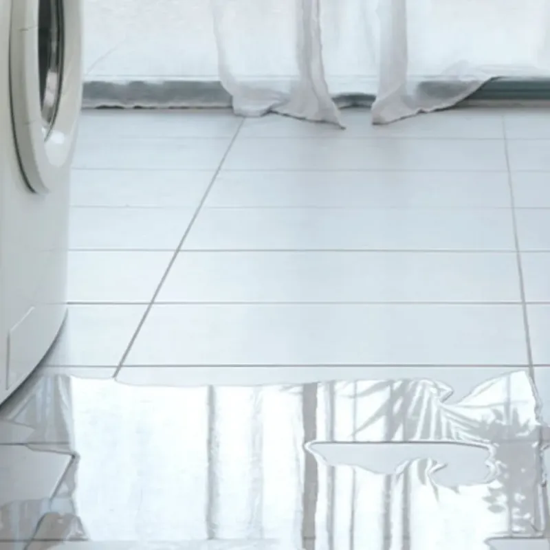 Appliance Leak Cleanup in Young County, TX