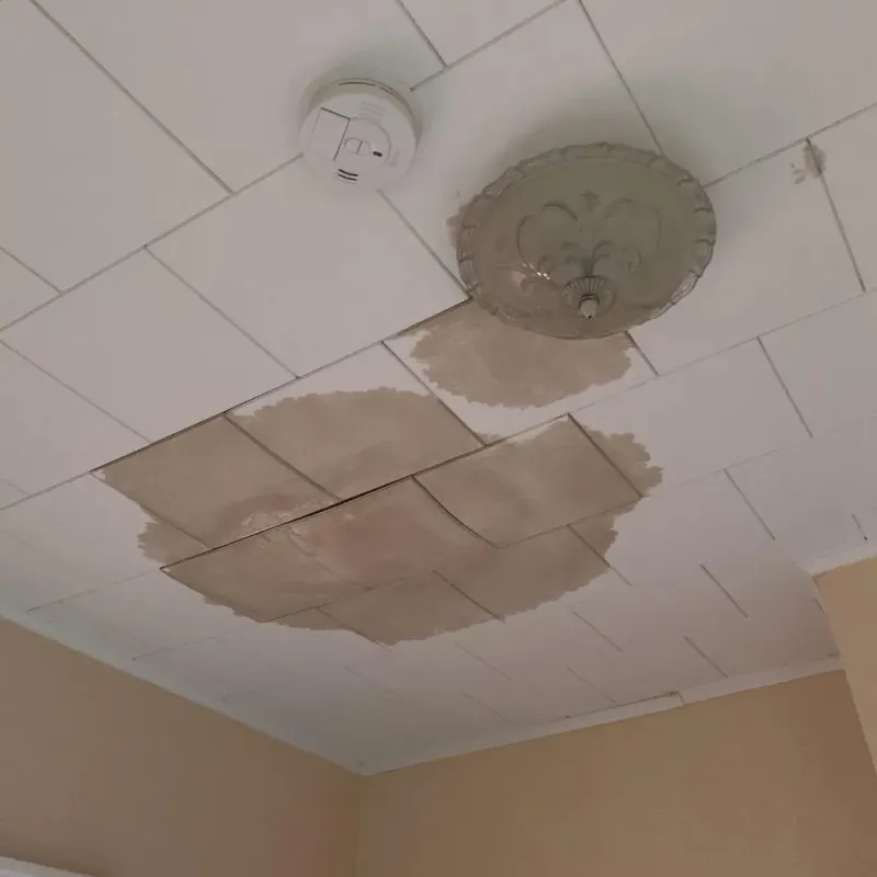 Ceiling Water Damage Repair in Young County, TX