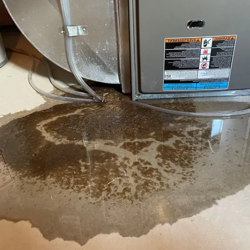 Pipe Burst and Leak Restoration in Young County, TX