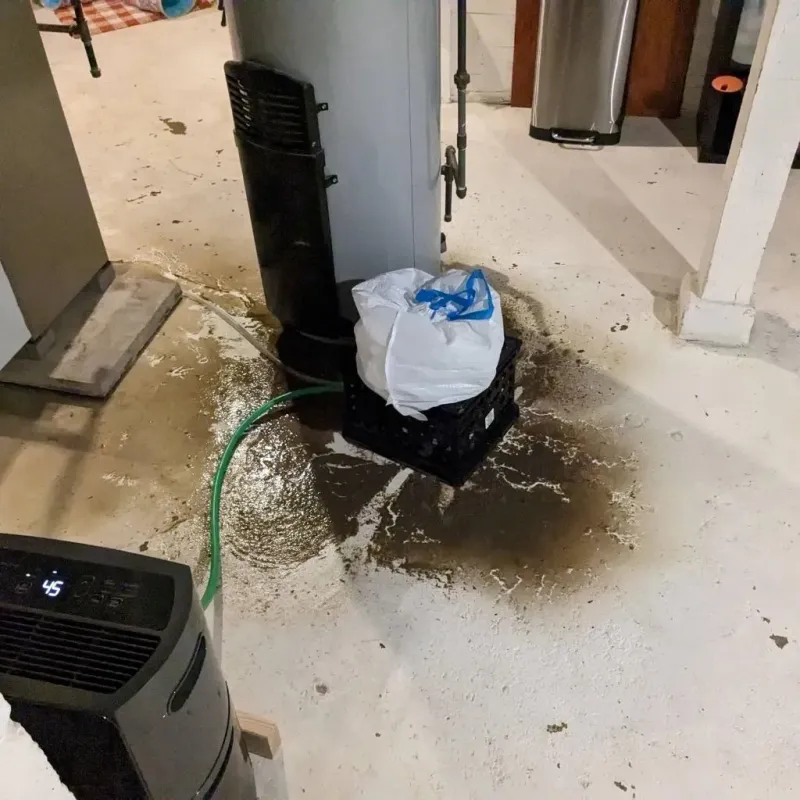 Sewage Backup Cleanup Service in Young County, TX